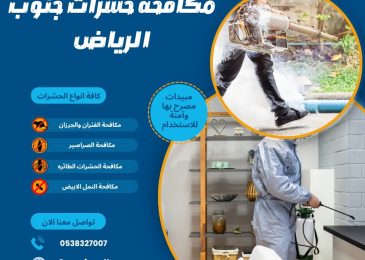 مكافحة حشرات جنوب الرياض