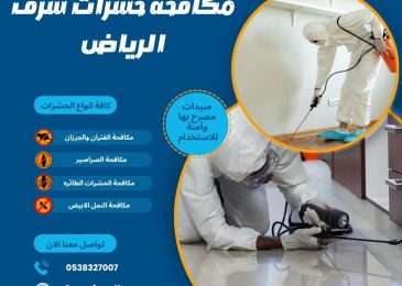 مكافحة حشرات شرق الرياض