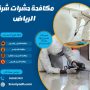 مكافحة حشرات شرق الرياض