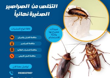 التخلص من الصراصير الصغيرة نهائياً
