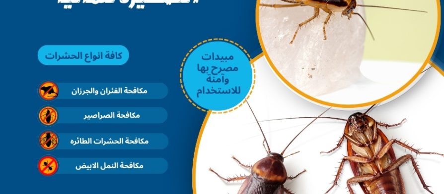 التخلص من الصراصير الصغيرة نهائياً