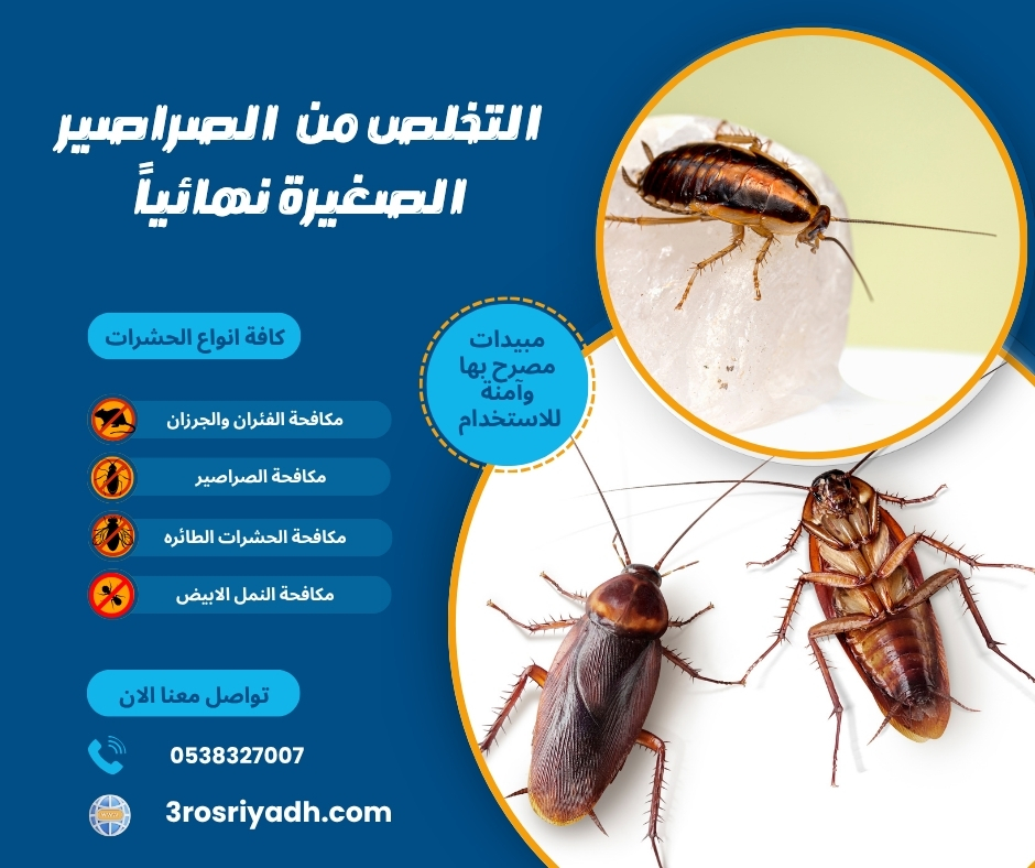 التخلص من الصراصير الصغيرة نهائياً