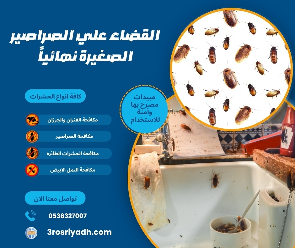 القضاء علي الصراصير الصغيرة نهائياً