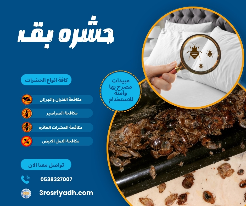 حشره بق