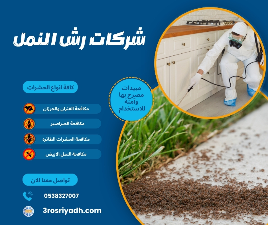 شركات رش النمل