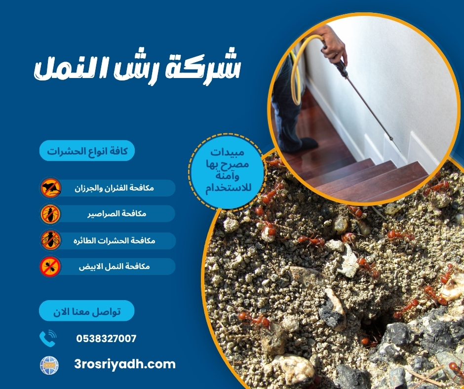شركة رش النمل