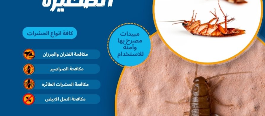 صراصير الخشب الصغيره
