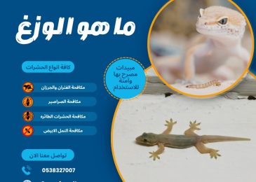ما هو الوزغ