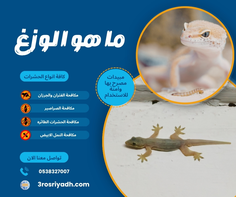 ما هو الوزغ