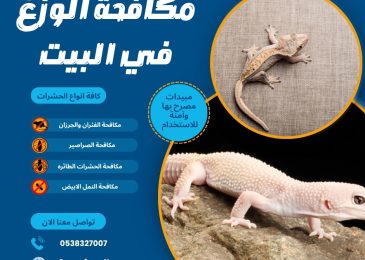 مكافحة الوزغ في البيت