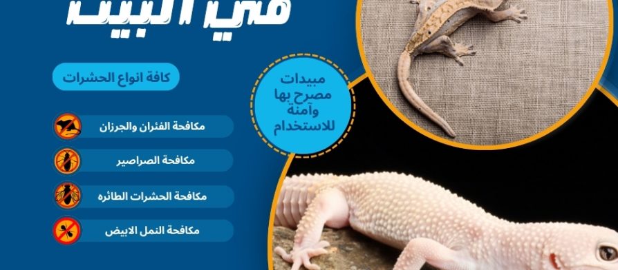مكافحة الوزغ في البيت