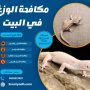 مكافحة الوزغ في البيت