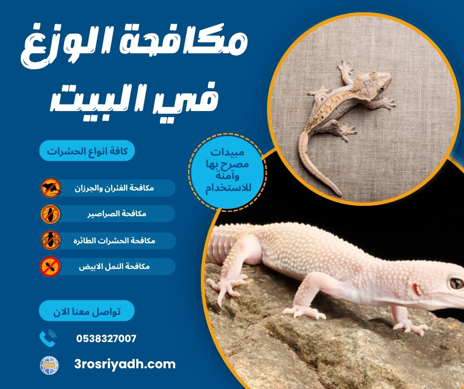 مكافحة الوزغ في البيت