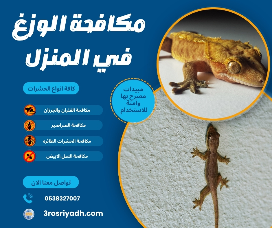 مكافحة الوزغ في المنزل