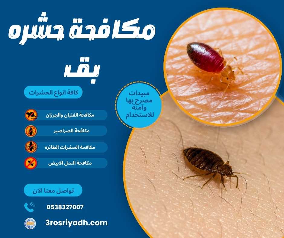 مكافحة حشره بق