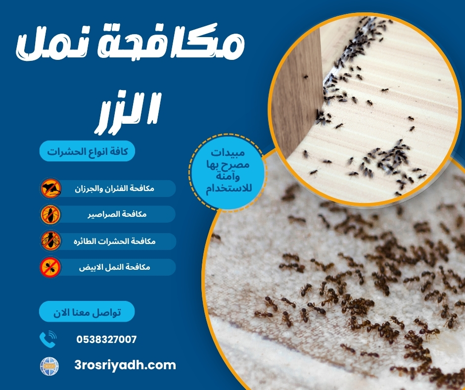 مكافحة نمل الزر