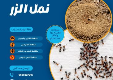 نمل الزر