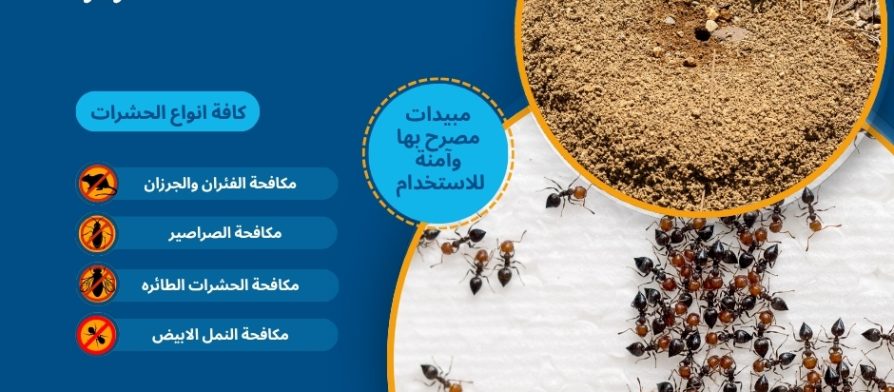 نمل الزر