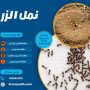 نمل الزر