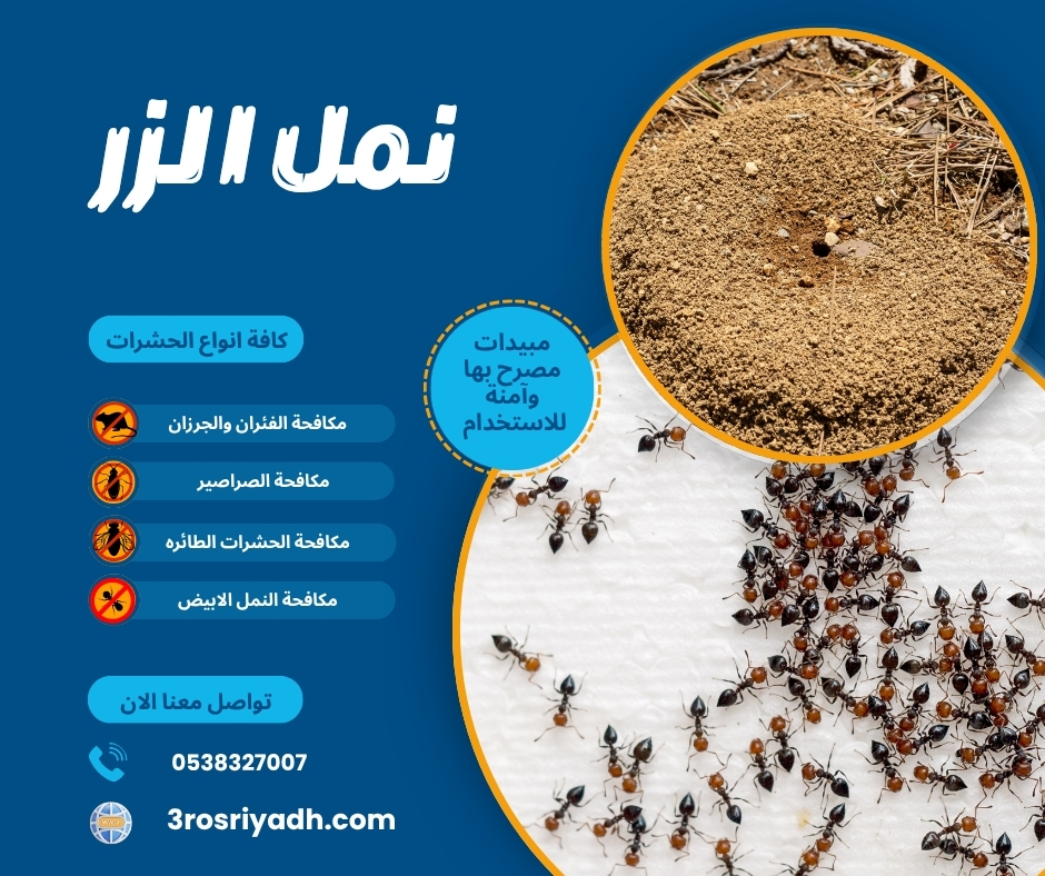 نمل الزر